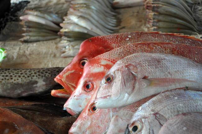 Auf dem Fischmarkt | Foto: Hauke Reuter, ZMT